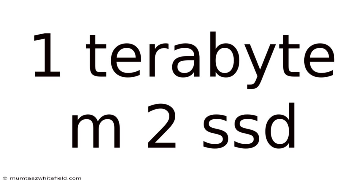 1 Terabyte M 2 Ssd