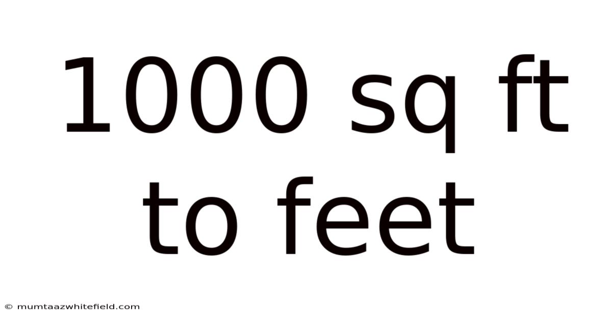 1000 Sq Ft To Feet