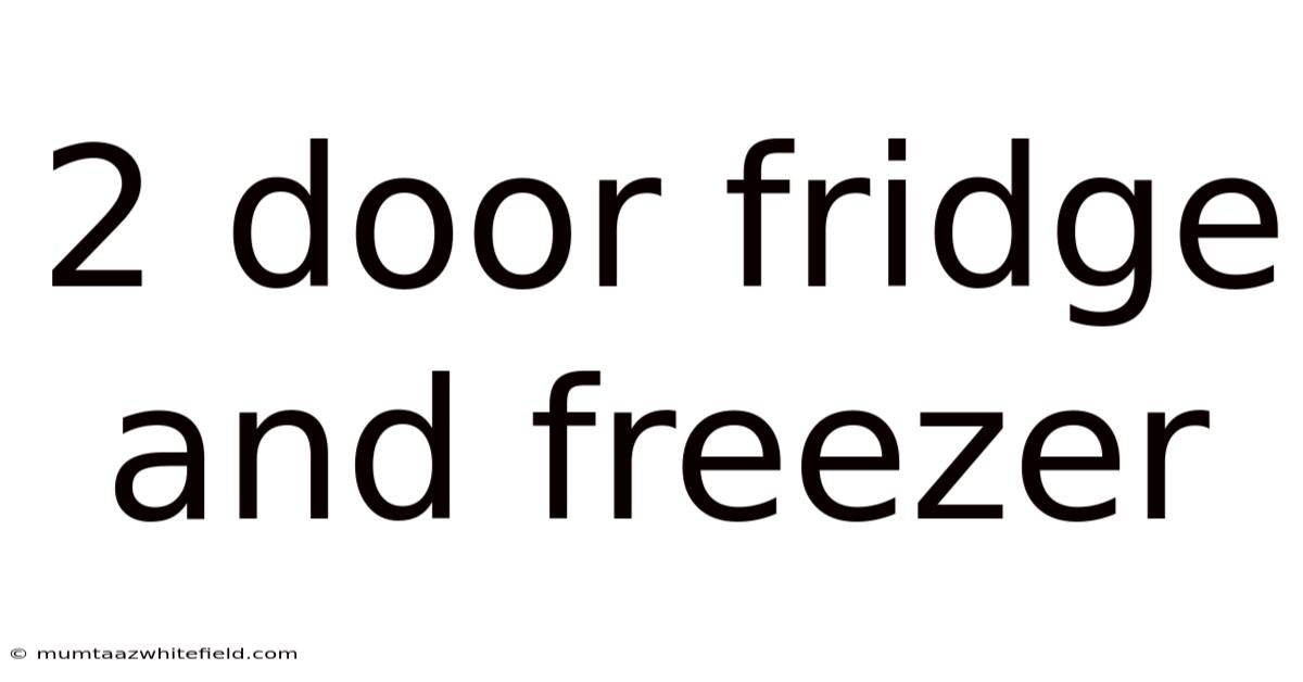 2 Door Fridge And Freezer