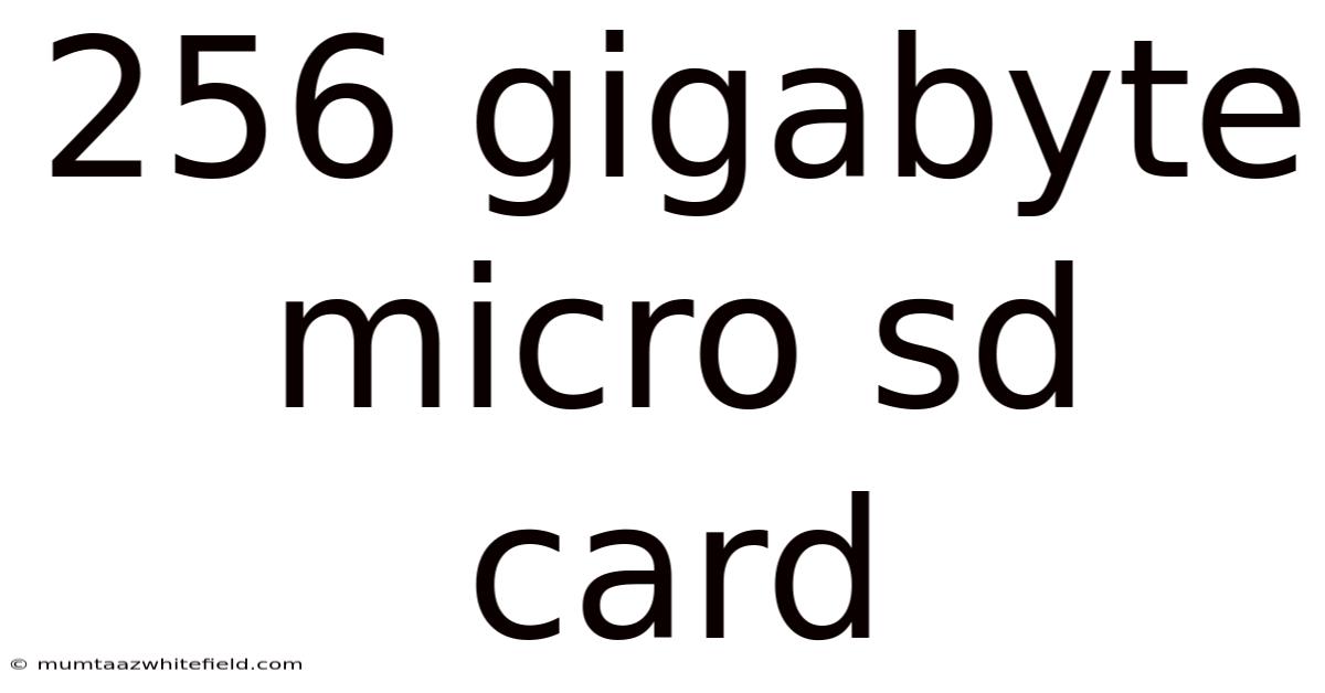 256 Gigabyte Micro Sd Card