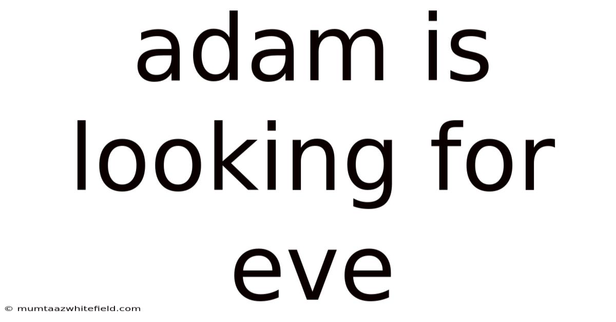Adam Is Looking For Eve
