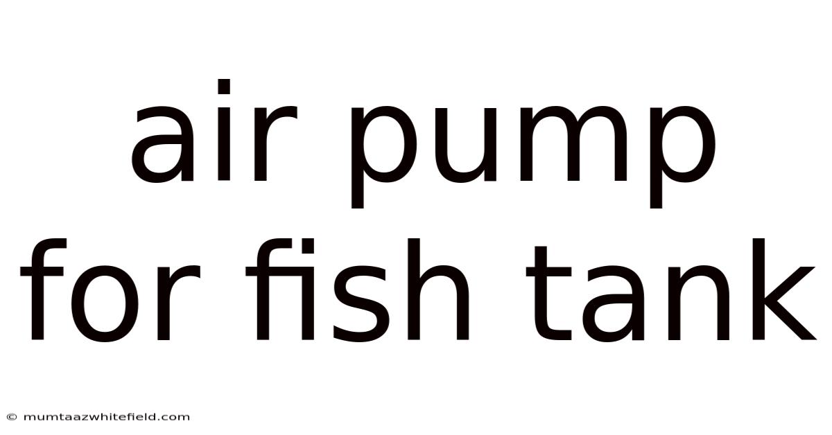 Air Pump For Fish Tank