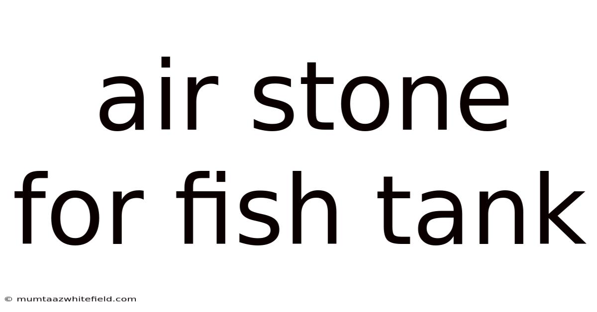 Air Stone For Fish Tank