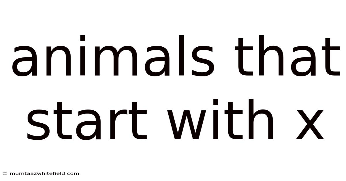 Animals That Start With X
