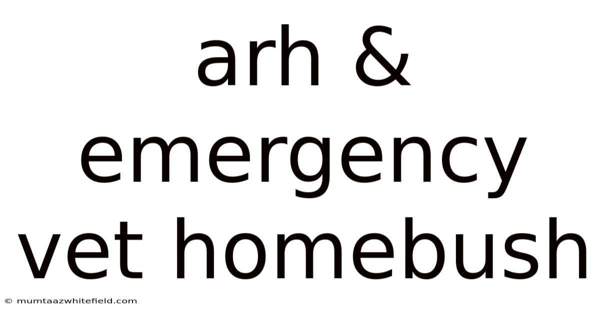 Arh & Emergency Vet Homebush