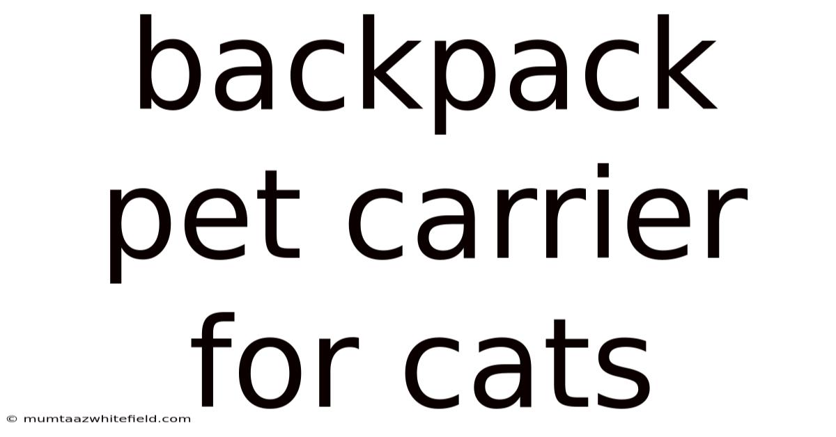 Backpack Pet Carrier For Cats