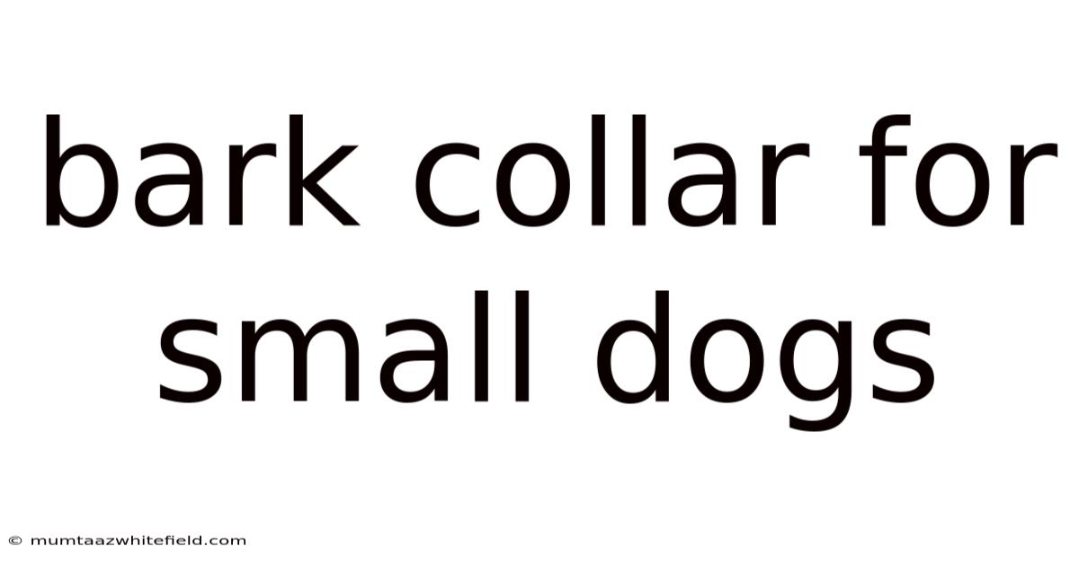 Bark Collar For Small Dogs