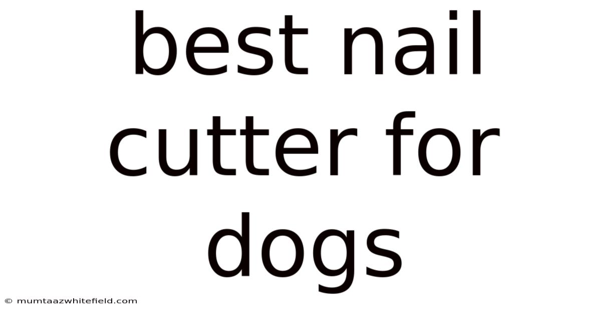 Best Nail Cutter For Dogs