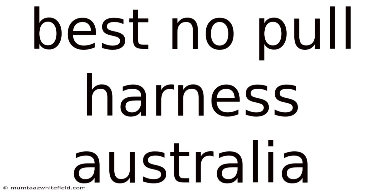 Best No Pull Harness Australia