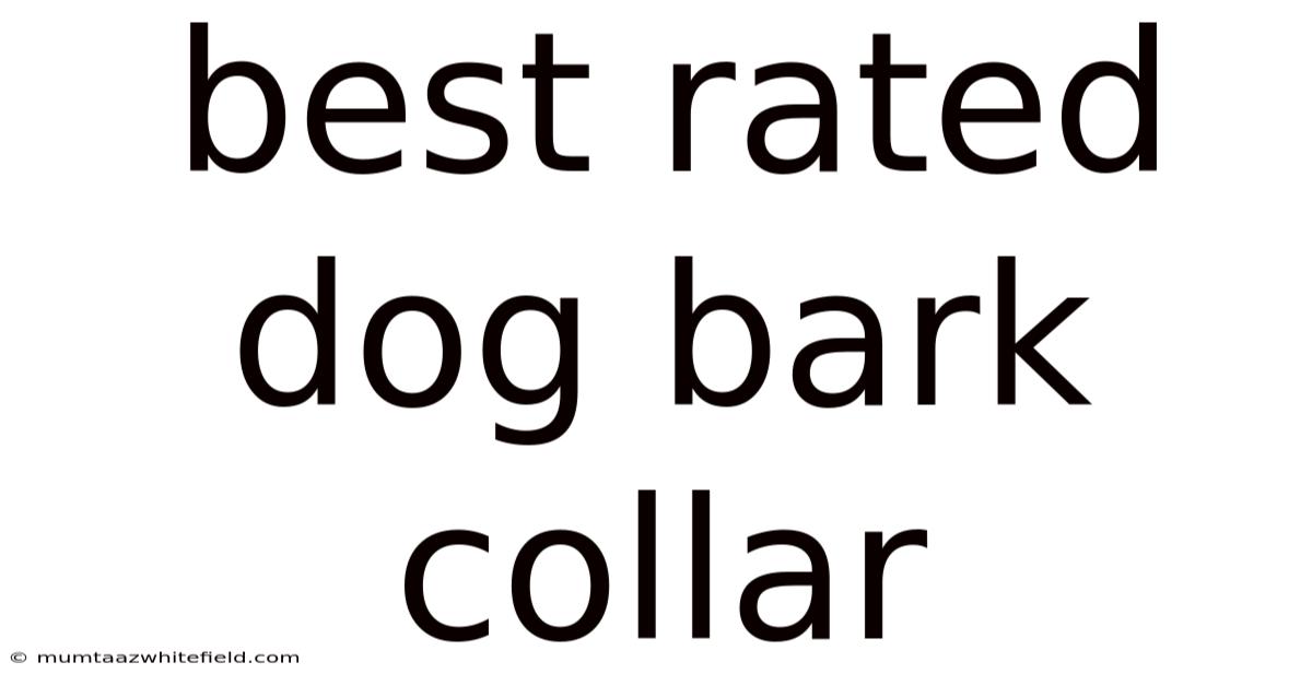 Best Rated Dog Bark Collar