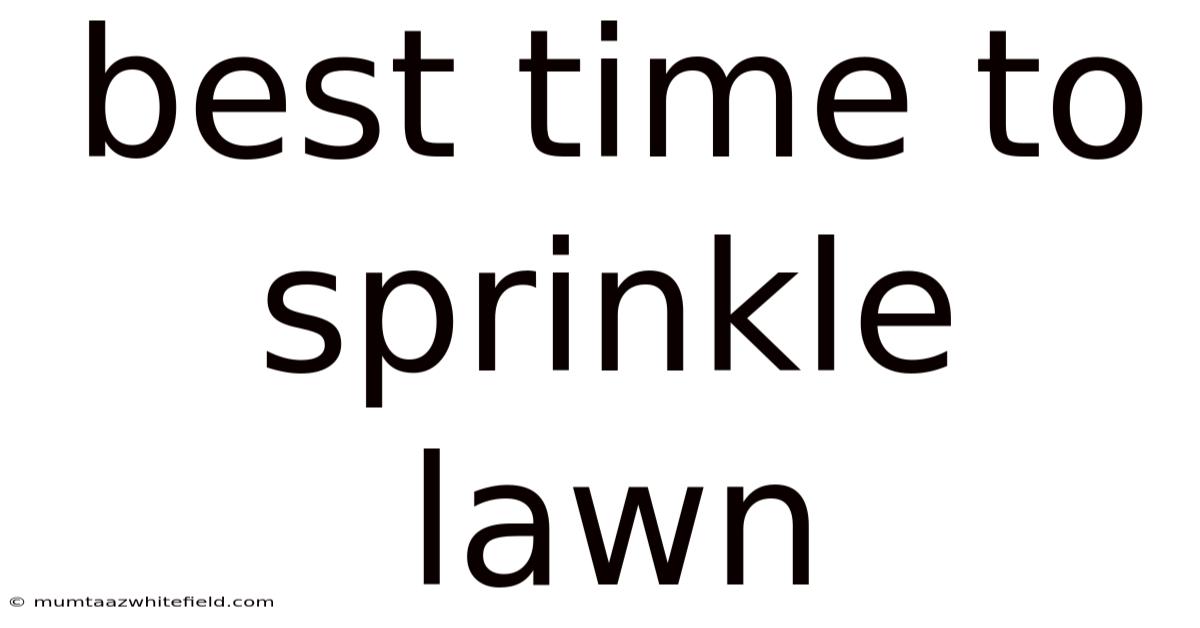 Best Time To Sprinkle Lawn