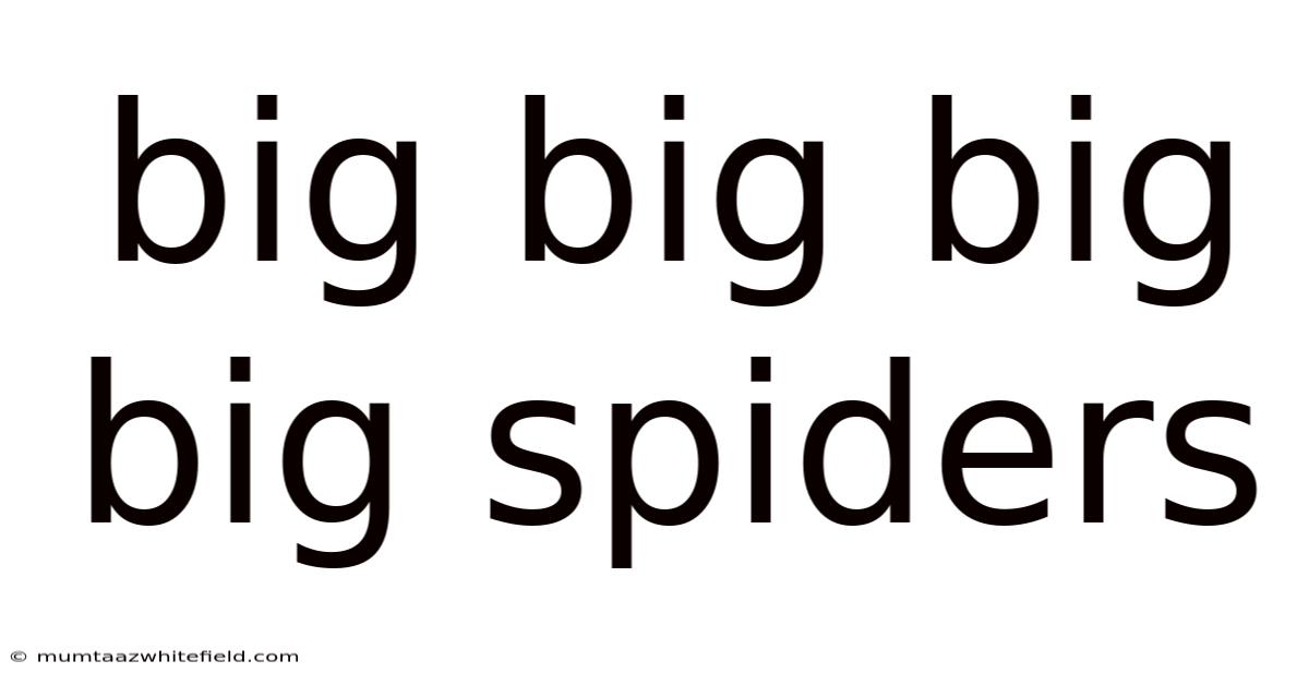 Big Big Big Big Spiders