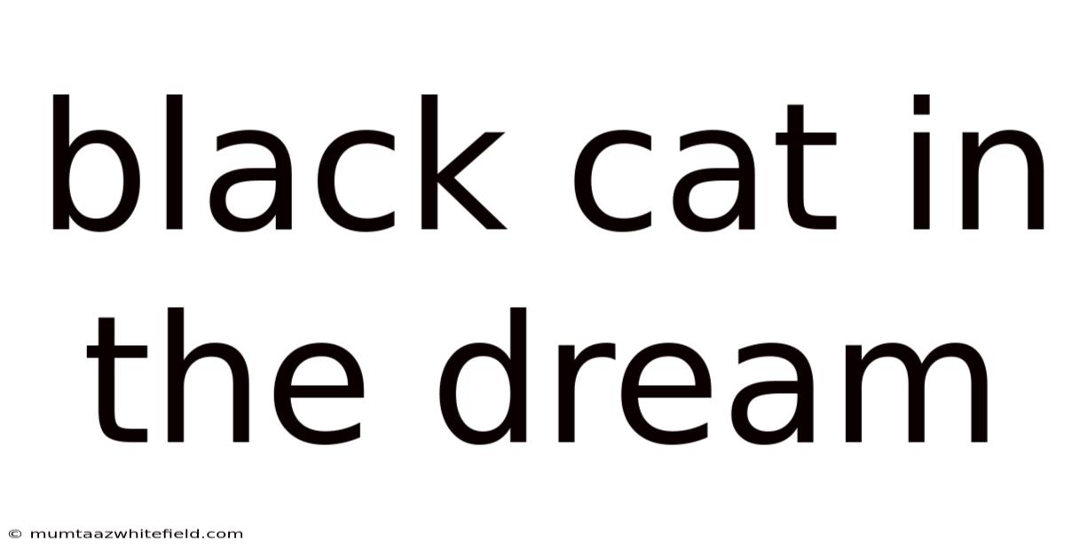 Black Cat In The Dream