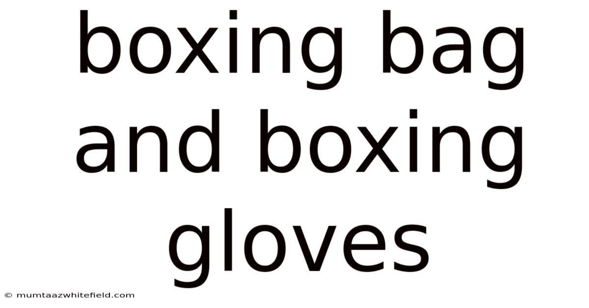 Boxing Bag And Boxing Gloves