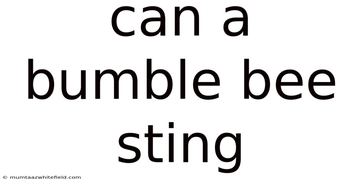 Can A Bumble Bee Sting