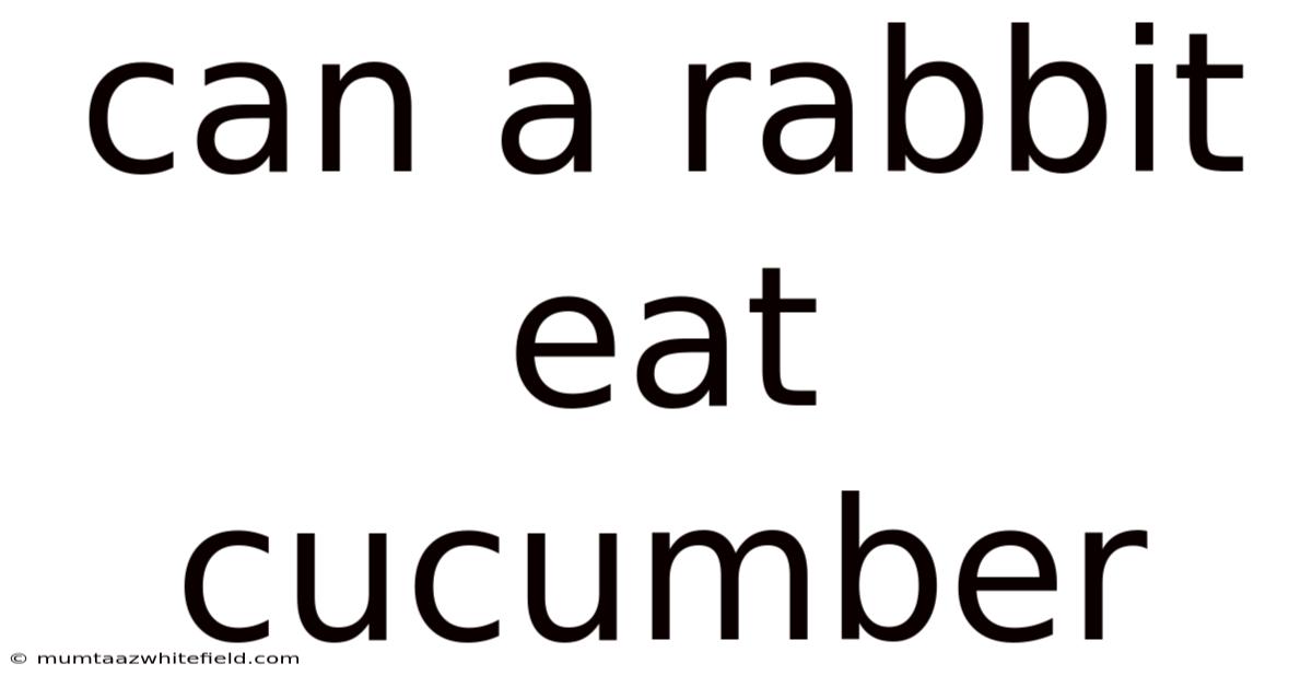 Can A Rabbit Eat Cucumber