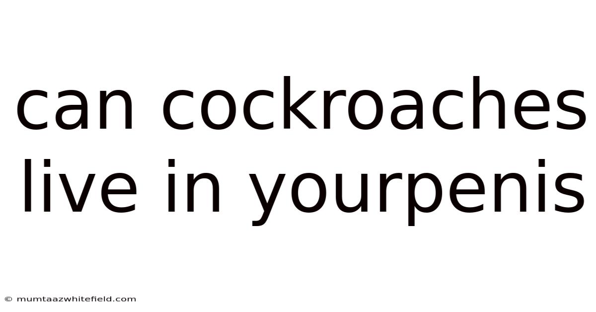 Can Cockroaches Live In Yourpenis