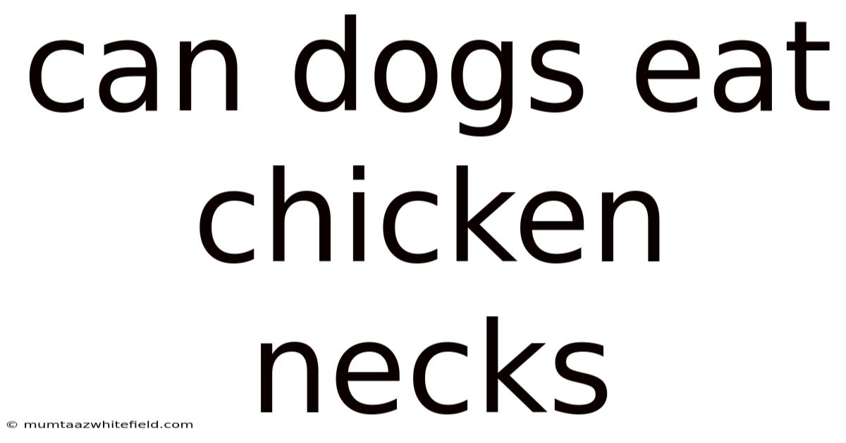 Can Dogs Eat Chicken Necks