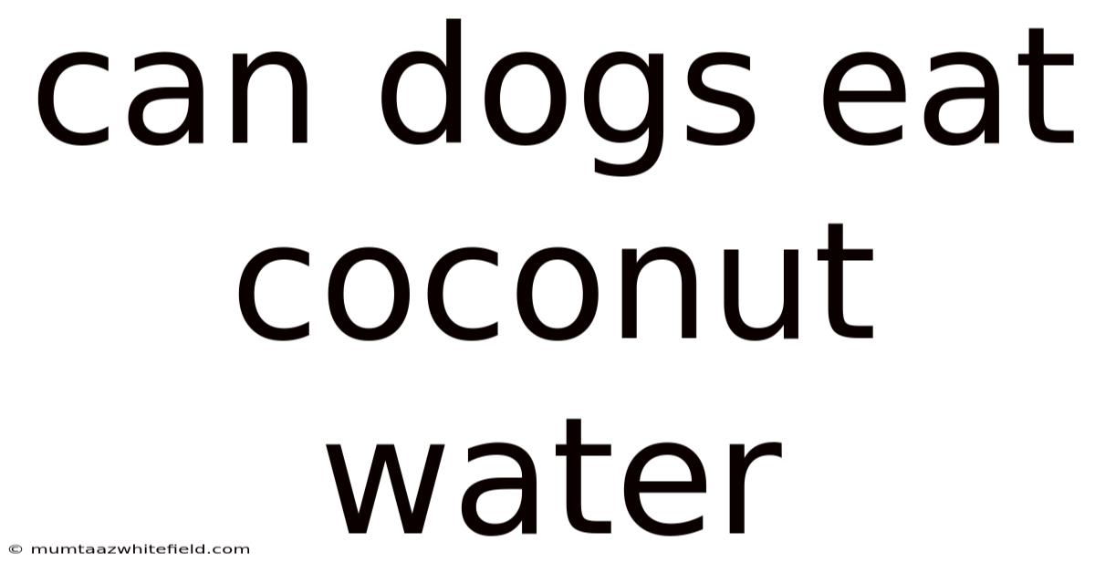 Can Dogs Eat Coconut Water