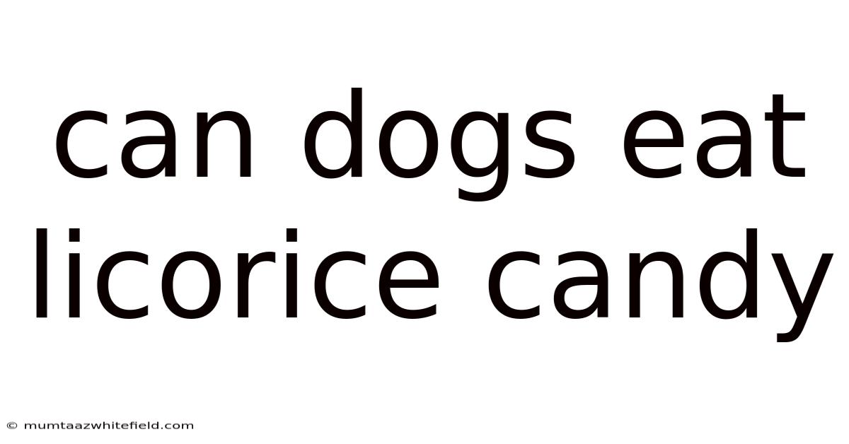 Can Dogs Eat Licorice Candy