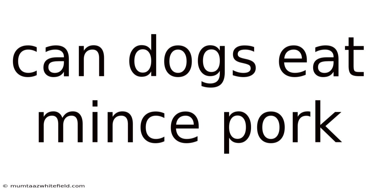 Can Dogs Eat Mince Pork