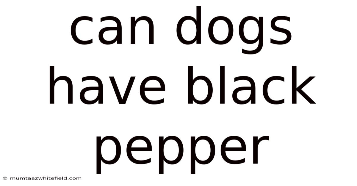 Can Dogs Have Black Pepper