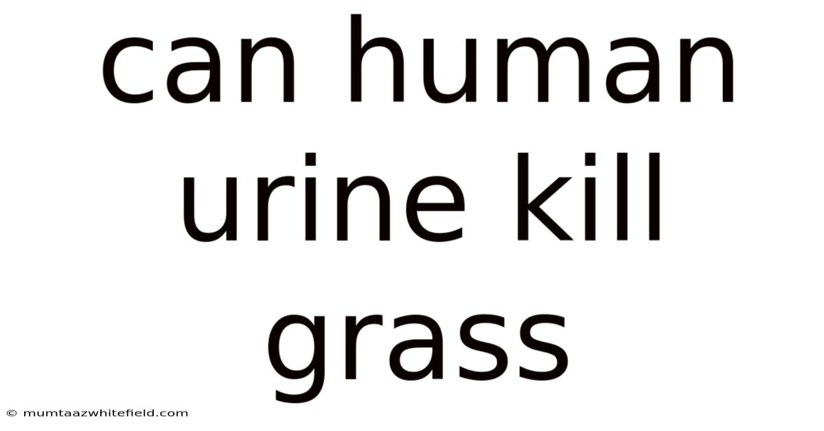 Can Human Urine Kill Grass