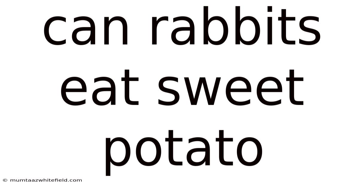 Can Rabbits Eat Sweet Potato
