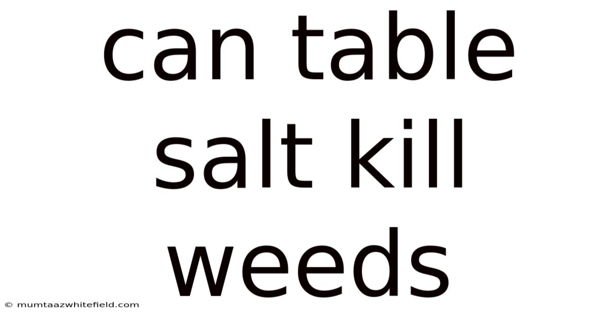Can Table Salt Kill Weeds