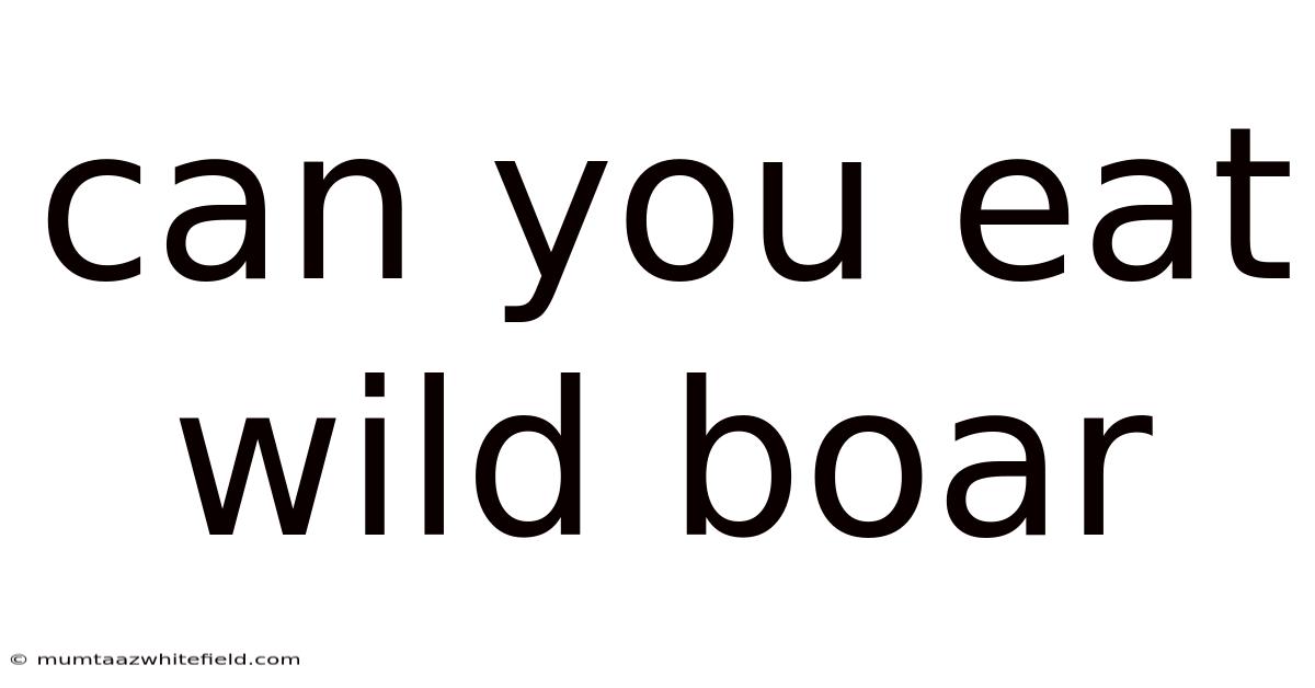 Can You Eat Wild Boar
