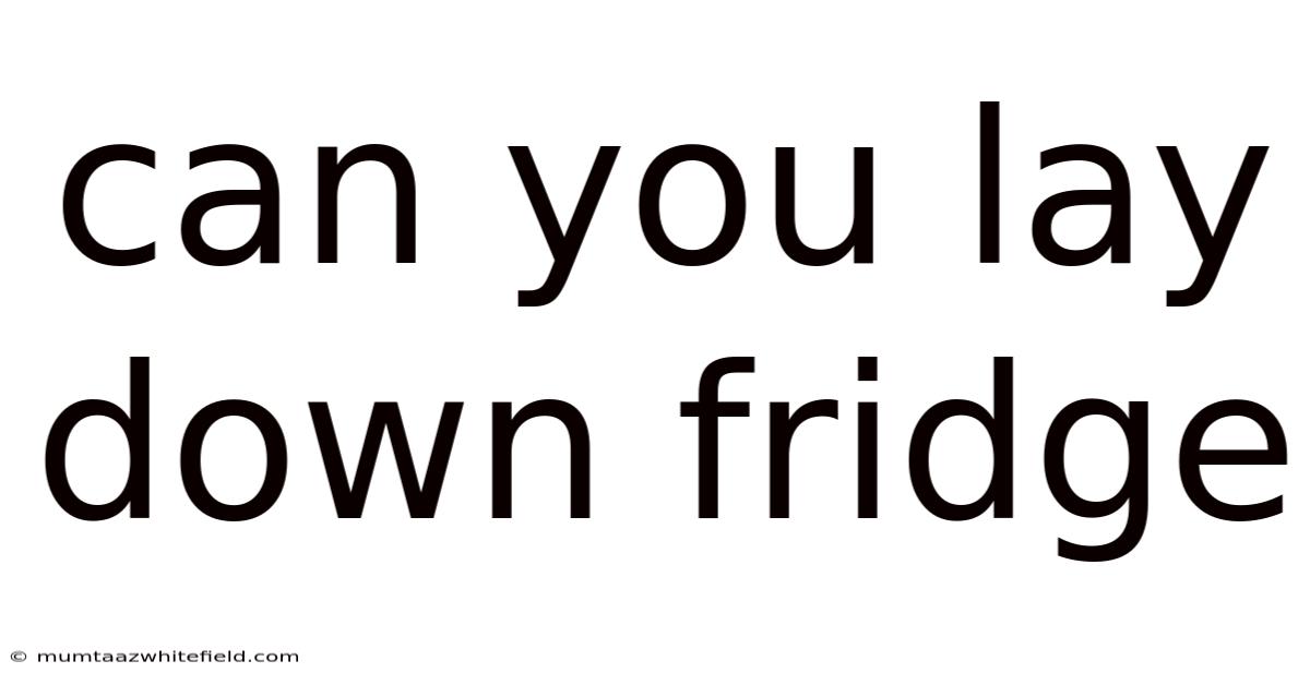 Can You Lay Down Fridge