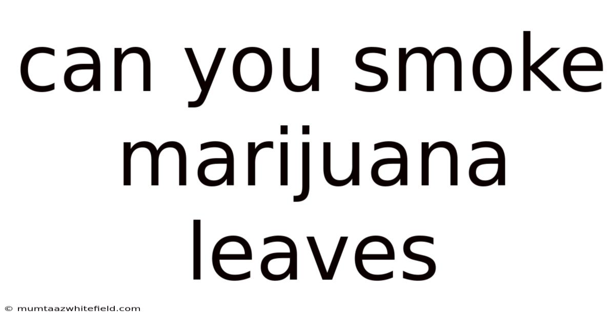 Can You Smoke Marijuana Leaves