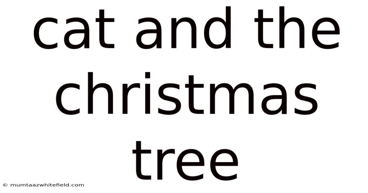 Cat And The Christmas Tree