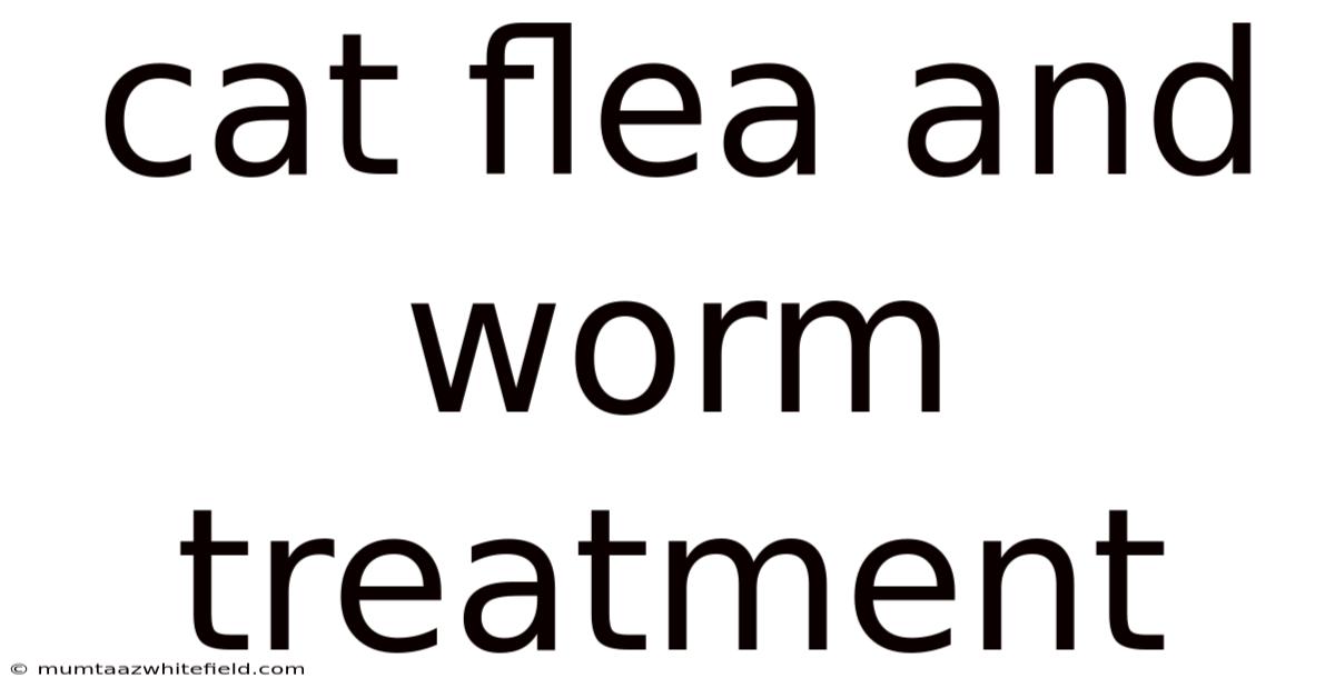 Cat Flea And Worm Treatment