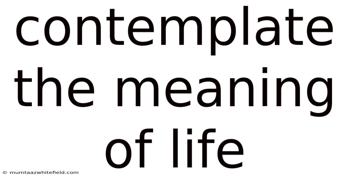 Contemplate The Meaning Of Life