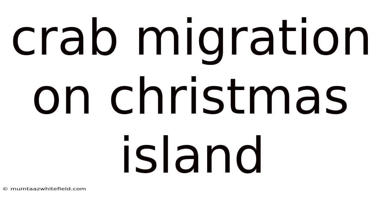 Crab Migration On Christmas Island