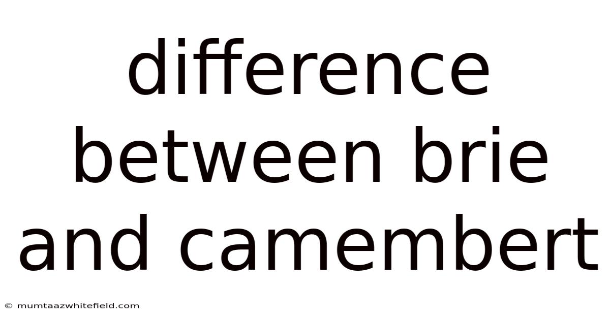 Difference Between Brie And Camembert