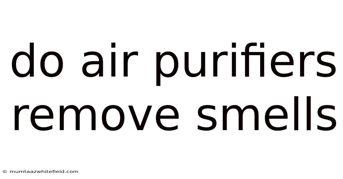 Do Air Purifiers Remove Smells