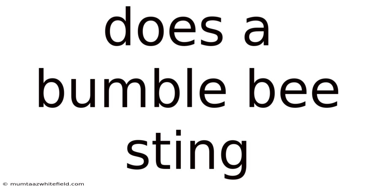 Does A Bumble Bee Sting