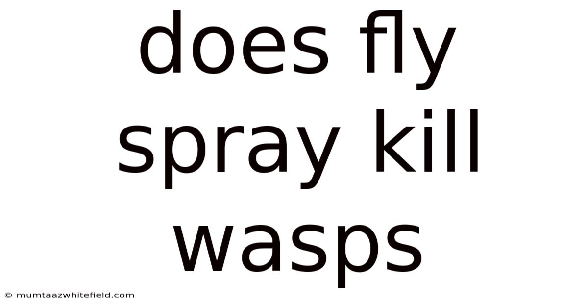 Does Fly Spray Kill Wasps