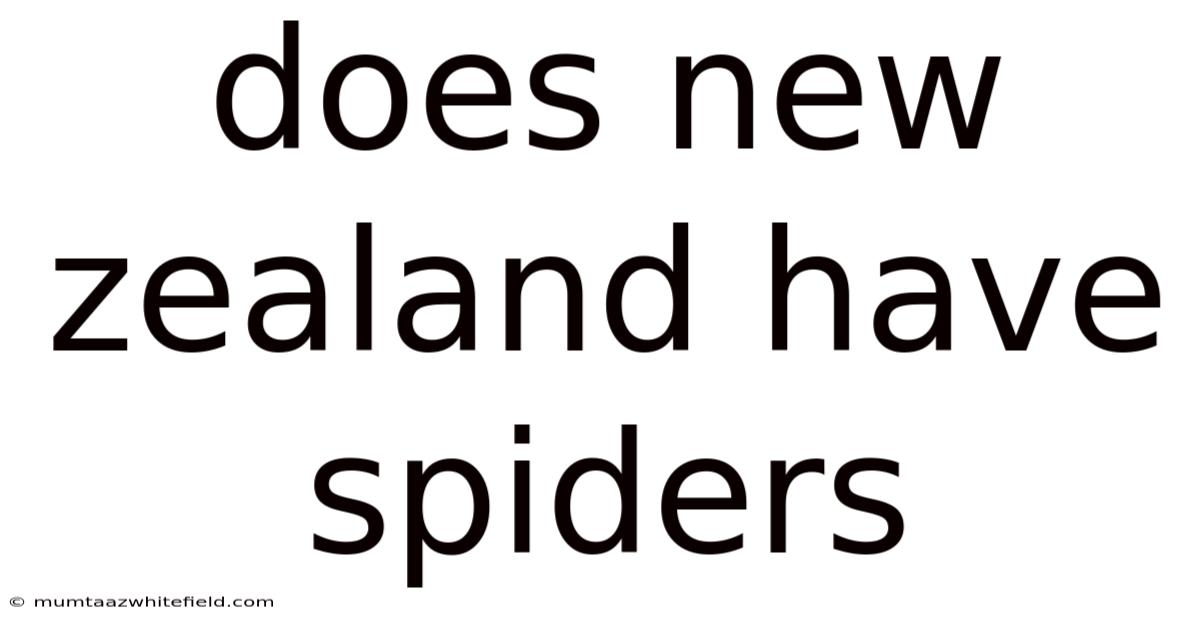 Does New Zealand Have Spiders