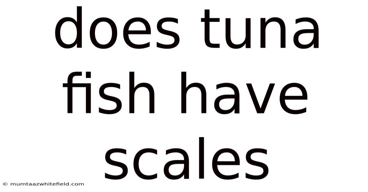 Does Tuna Fish Have Scales