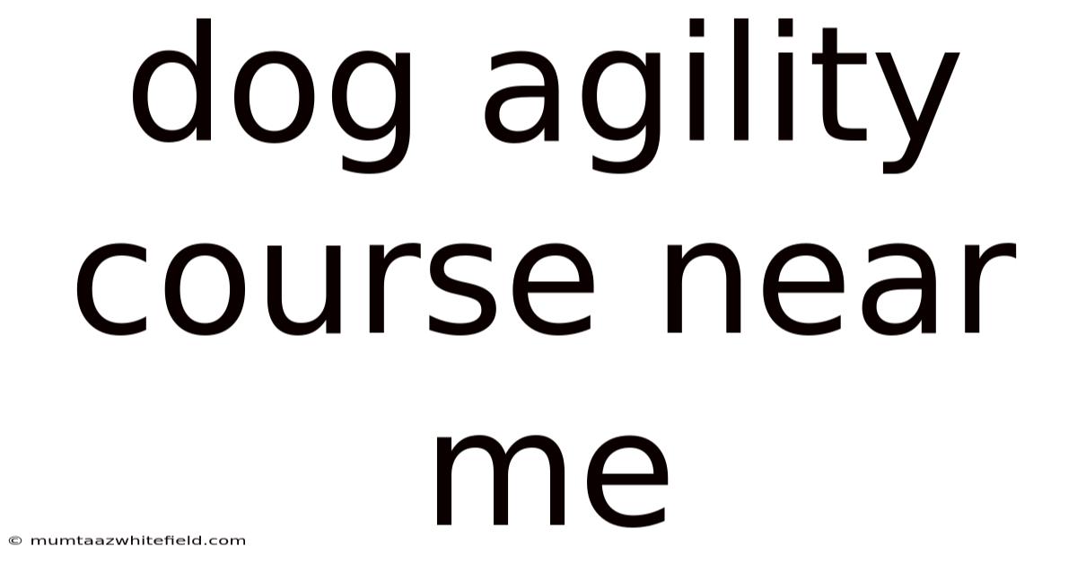 Dog Agility Course Near Me