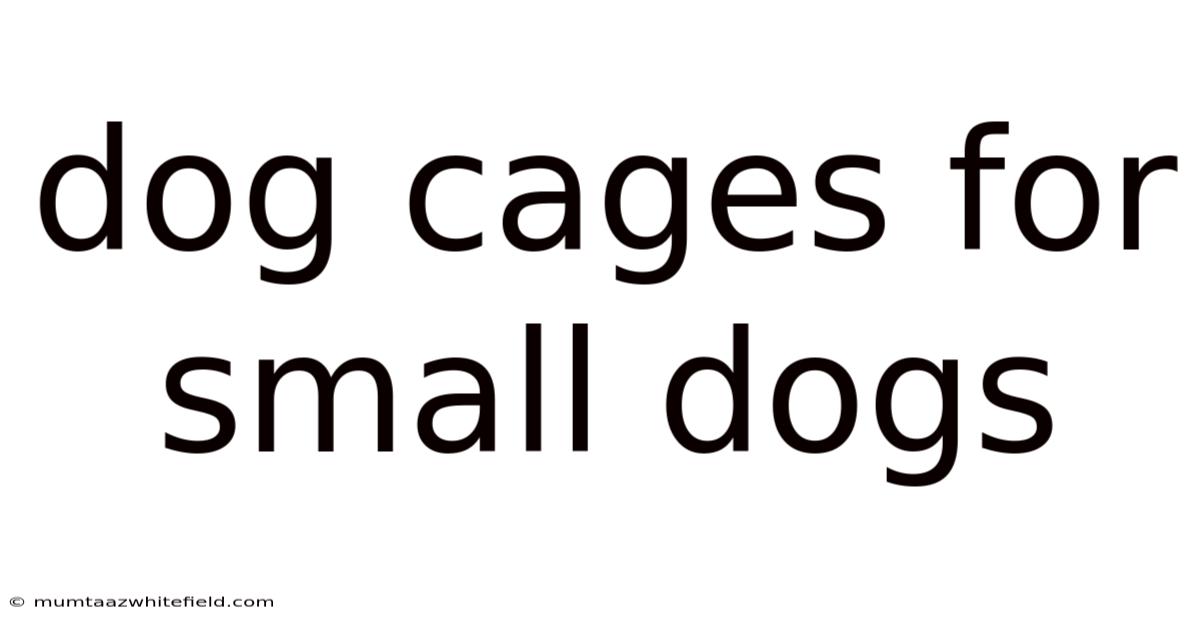 Dog Cages For Small Dogs