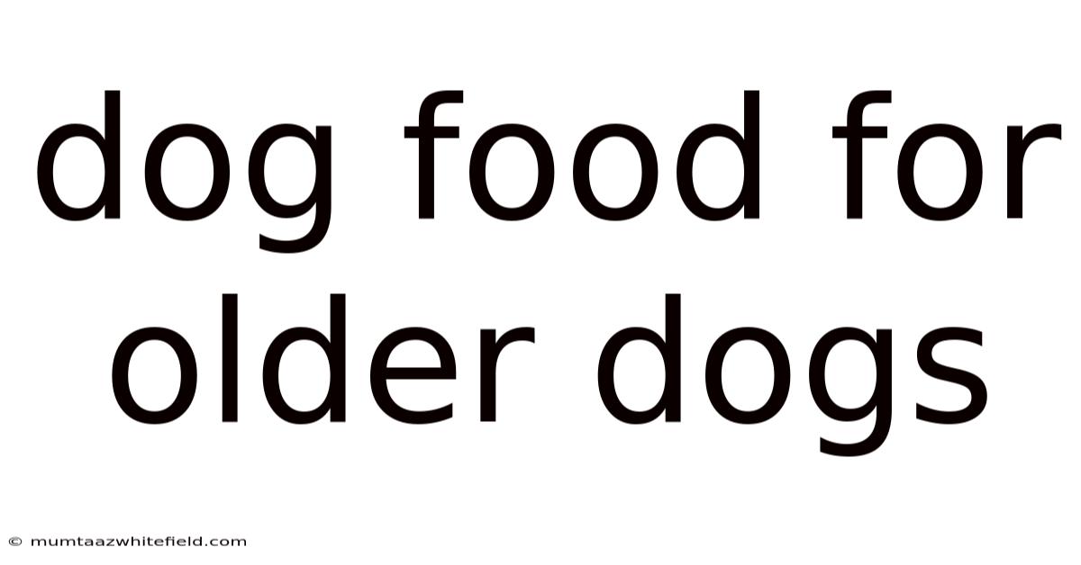 Dog Food For Older Dogs