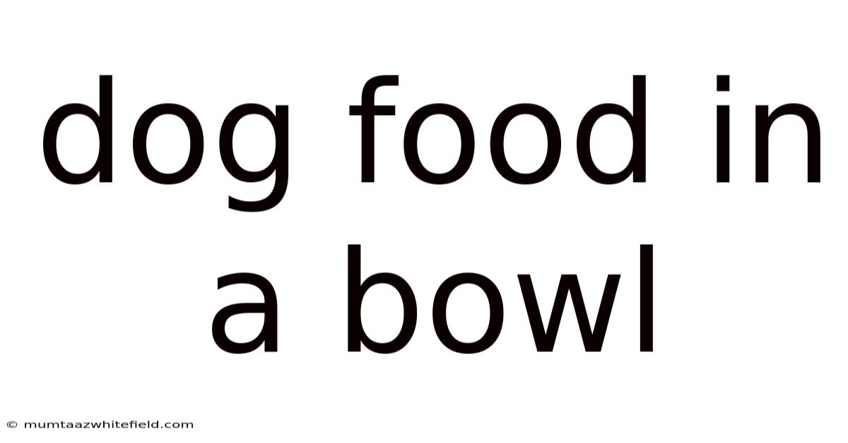 Dog Food In A Bowl