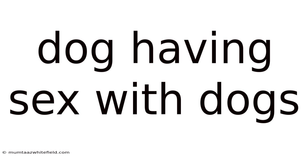 Dog Having Sex With Dogs