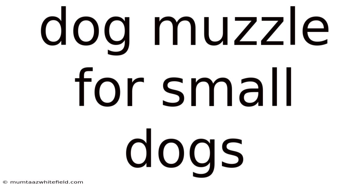 Dog Muzzle For Small Dogs