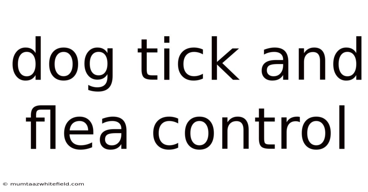 Dog Tick And Flea Control