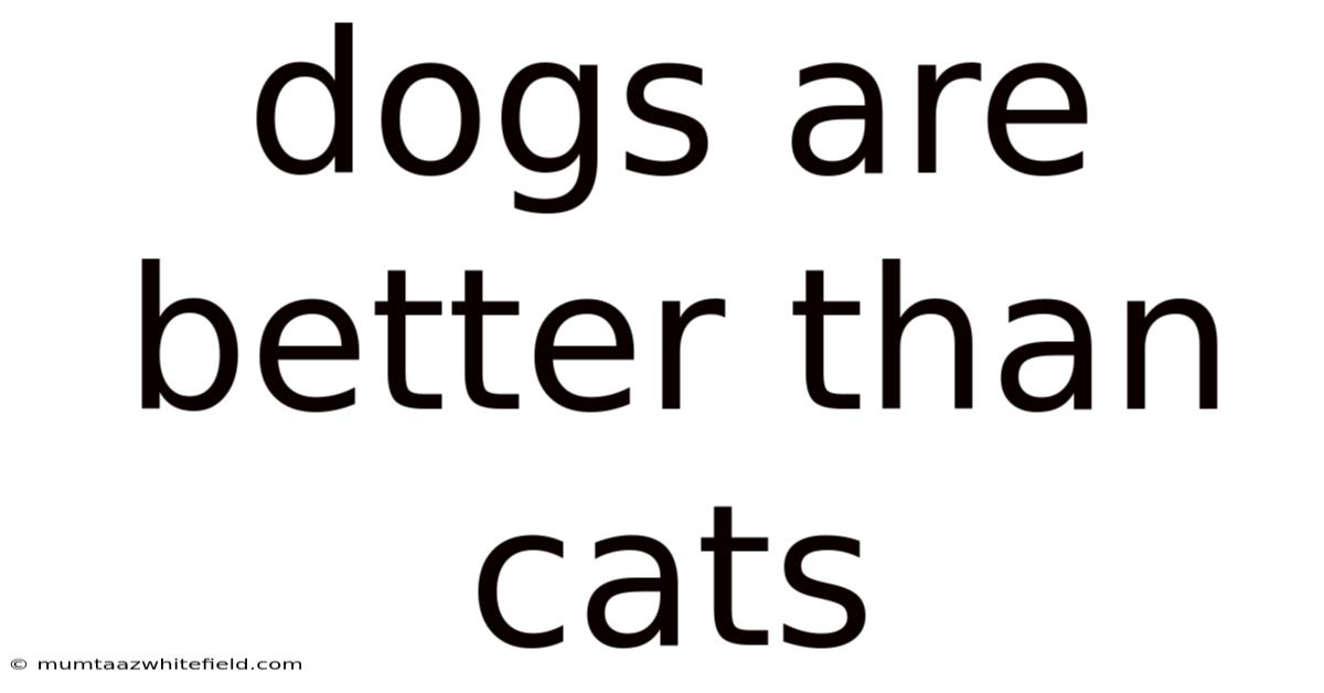 Dogs Are Better Than Cats